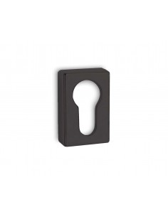 Security Escutcheon 1555OY 2