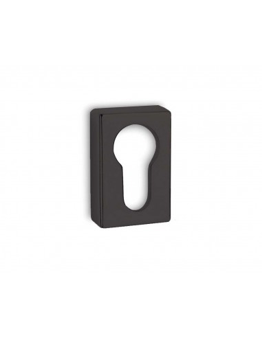 Security Escutcheon 1555OY