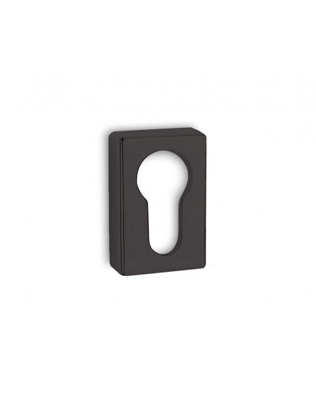Security Escutcheon 1555OY