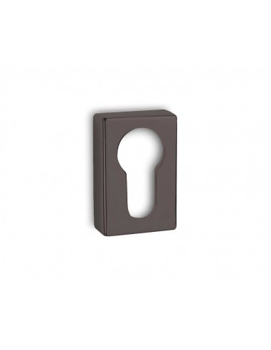 Security Escutcheon 1555OY