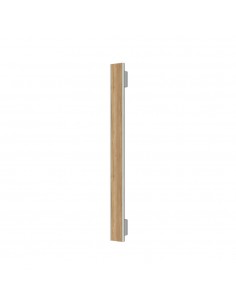 Main entrance door handle...