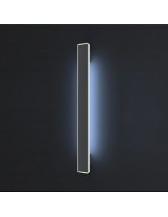 Main entrance door handle...