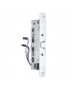 ELECTRIC LOCK FOR FIRE-RESISTANT DOOR