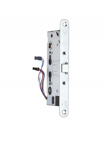 ELECTRIC LOCK FOR FIRE-RESISTANT DOOR