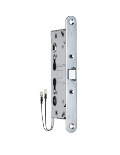 ELECTRIC PANIC LOCK FOR FIRE-RESISTANT DOOR