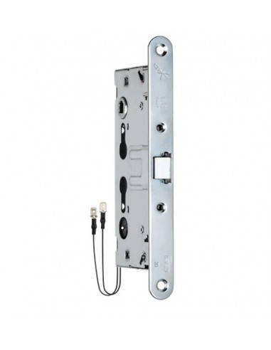ELECTRIC PANIC LOCK FOR FIRE-RESISTANT DOOR