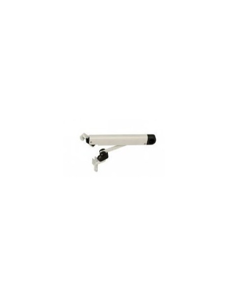 Projected window compass hinge