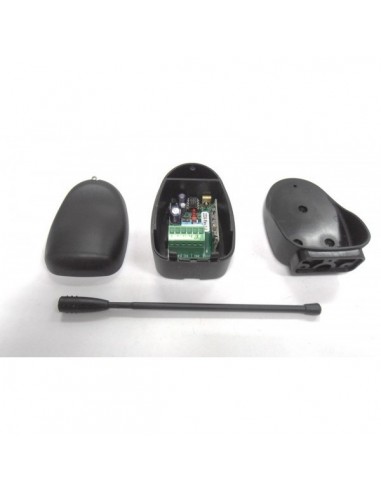 Δέκτης δύο καναλιών