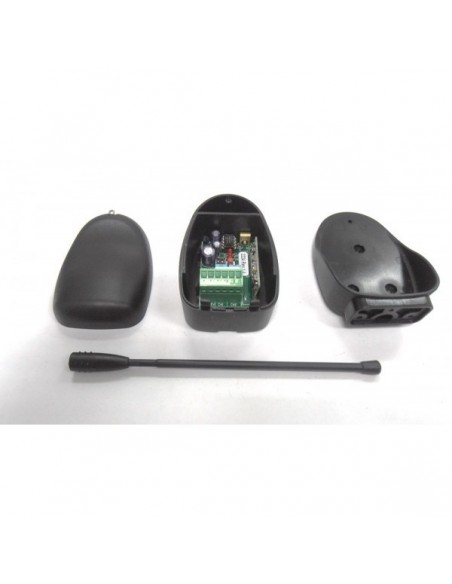 Δέκτης δύο καναλιών Δέκτης δύο καναλιών