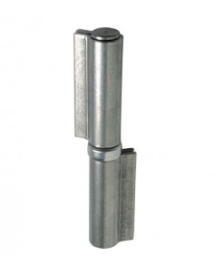Hinge with two wings long double leaf and thrust bearing series 2000
