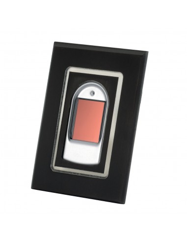 Ενσωματωμένος αναγνώστης δακτυλικού αποτυπώματος- R5MX-100