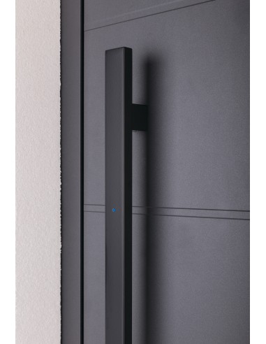 Λαβή κεντρικής πόρτας με αναγνώστη δακτυλικού αποτυπώματος ΤΜ 40×20