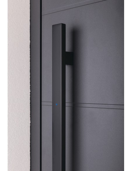 Λαβή κεντρικής πόρτας με αναγνώστη δακτυλικού αποτυπώματος ΤΜ 40×20 Λαβή κεντρικής πόρτας με αναγνώστη δακτυλικού αποτυπώματος ΤΜ 40×20