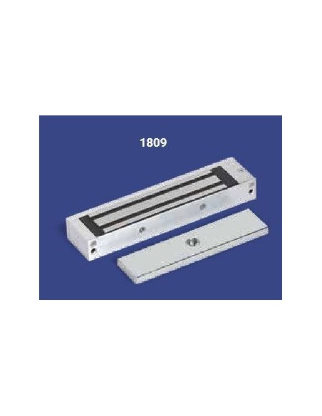 Ηλεκτρομαγνήτης 1809 JIS