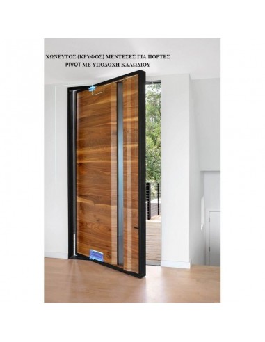 ΧΩΝΕΥΤΟΣ ΜΕΝΤΕΣΕΣ ΓΙΑ ΠΟΡΤΕΣ PIVOT ΜΕ ΥΠΟΔΟΧΗ ΚΑΛΩΔΙΟΥ