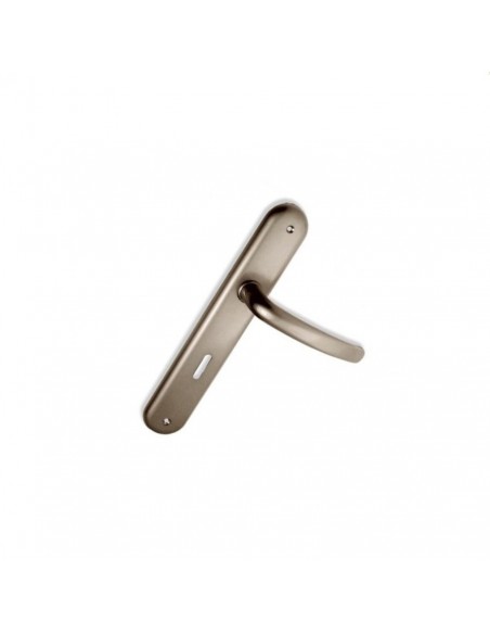 Πόμολο χερούλι με μονοκόμματη πλάκα σειρά C605 Πόμολο χερούλι με μονοκόμματη πλάκα σειρά C605