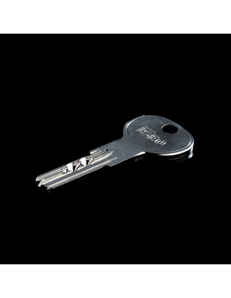 ISEO R6 SPI ΑΝΑΣΤΡΕΨΙΜΟΣ ΚΥΛΙΝΔΡΟΣ ΜΕ ΠΡΟΣΤΑΤΕΥΜΕΝΟ ΠΡΟΦΙΛ  ISEO R6 SPI ΑΝΑΣΤΡΕΨΙΜΟΣ ΚΥΛΙΝΔΡΟΣ ΜΕ ΠΡΟΣΤΑΤΕΥΜΕΝΟ ΠΡΟΦΙΛ