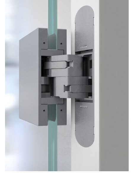 ΑΟΡΑΤΟΣ ΜΕΝΤΕΣΕΣ ΓΙΑ ΓΥΑΛΙΝΗ ΠΟΡΤΑ 