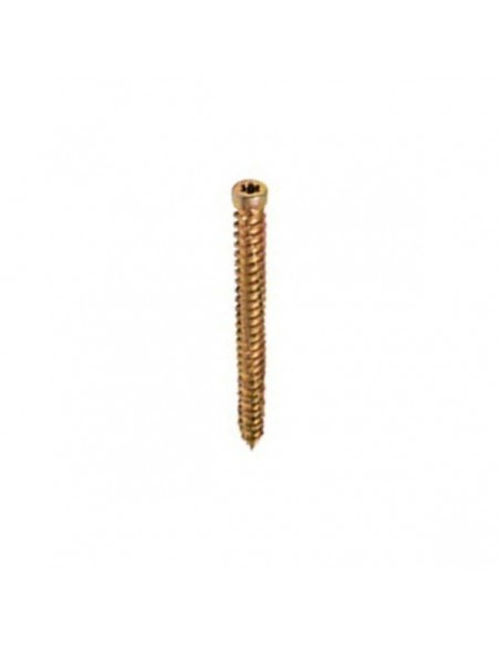 Τσιμεντόβιδες με μικρό κεφάλη TX