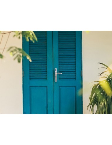 Ηλεκτρονική κλειδαριά L701 Smart Lock