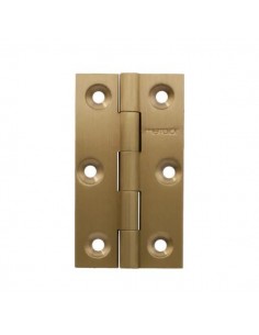 Brass Hinges with Plate