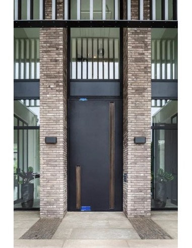 Επάνω άξονας μεντεσές για Pivot πόρτες Top pivot Reversed