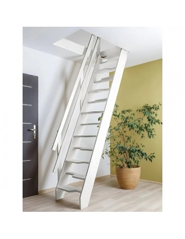 Σκάλες οροφής MSA Altero