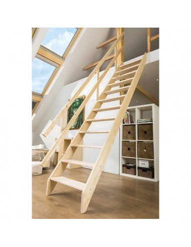 Σκάλες οροφής MSU Universal