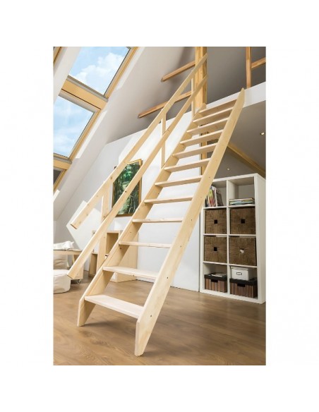 Σκάλες οροφής MSU Universal