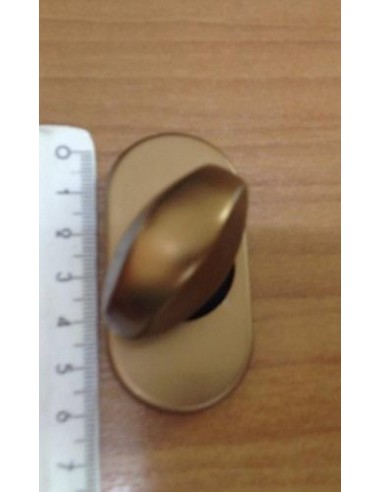 Κλείστρο περιστρεφόμενο θωρακισμένης πόρτας