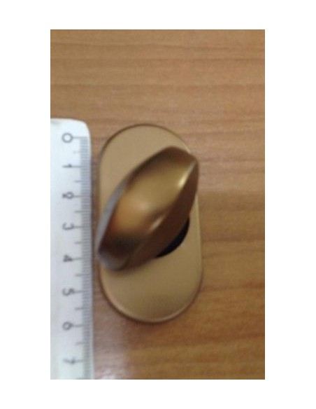 Κλείστρο περιστρεφόμενο θωρακισμένης πόρτας Κλείστρο περιστρεφόμενο θωρακισμένης πόρτας